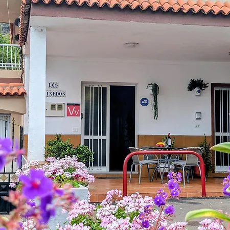 Vinedos Apartamento